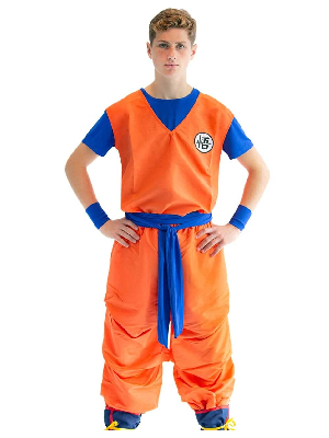 Dragon Ball Z Costumes (DBZ) - Goku Costume - UK